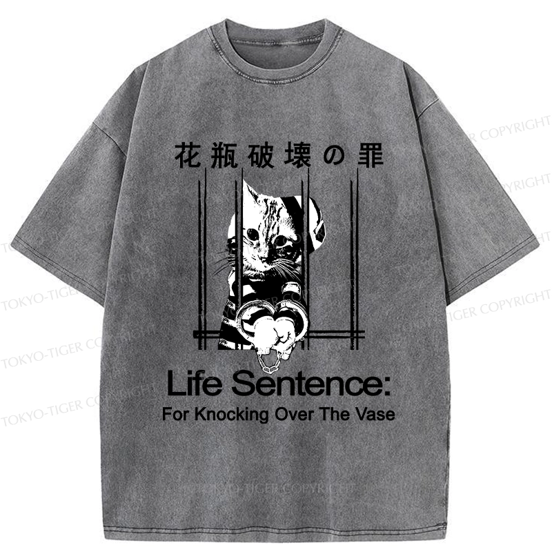 Tokyo-Tiger The Sin Of Vase Breaking Funny Washed T-Shirt