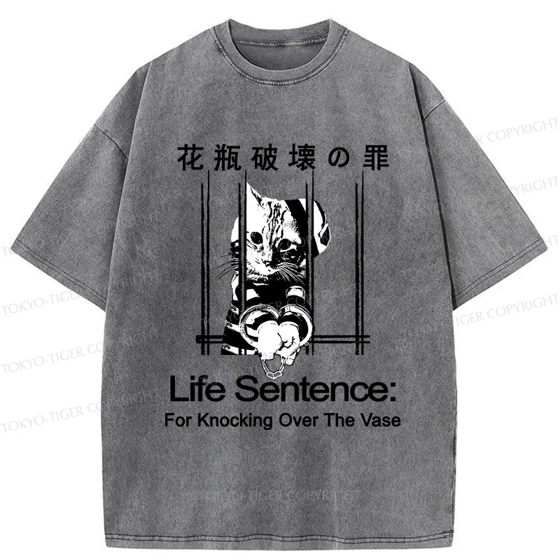 Tokyo-Tiger The Sin Of Vase Breaking Funny Washed T-Shirt