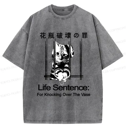 Tokyo-Tiger The Sin Of Vase Breaking Funny Washed T-Shirt