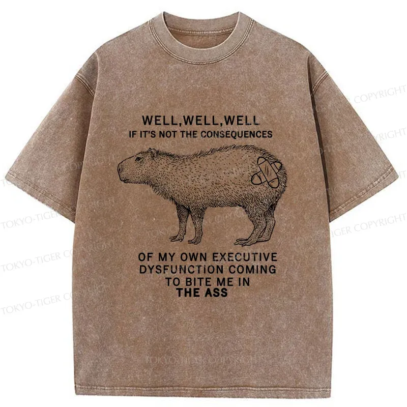 Tokyo-Tiger Stupid Capybara Washed T-Shirt