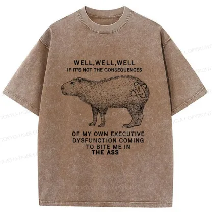 Tokyo-Tiger Stupid Capybara Washed T-Shirt