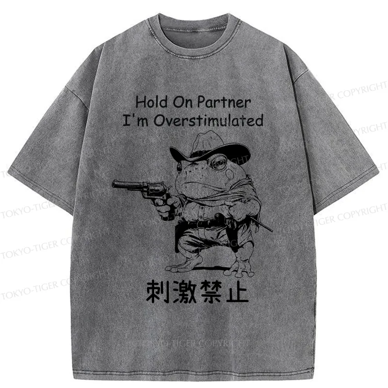 Tokyo-Tiger Overstimulated Frog Washed T-Shirt