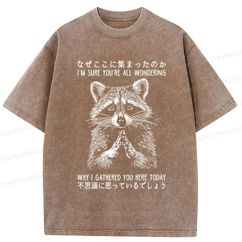 Tokyo-Tiger Something's Going On Raccoon Washed T-Shirt