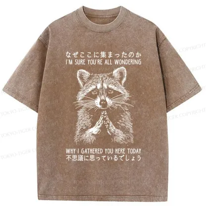 Tokyo-Tiger Something's Going On Raccoon Washed T-Shirt