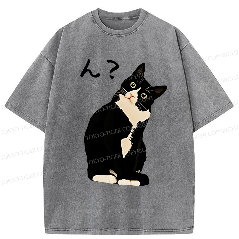 Tokyo-Tiger Suspicious Cat Japan Washed T-Shirt