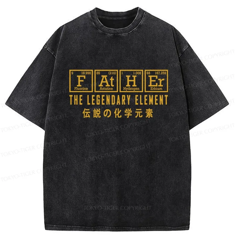 Tokyo-Tiger Funny Father Chemical Element Washed T-Shirt
