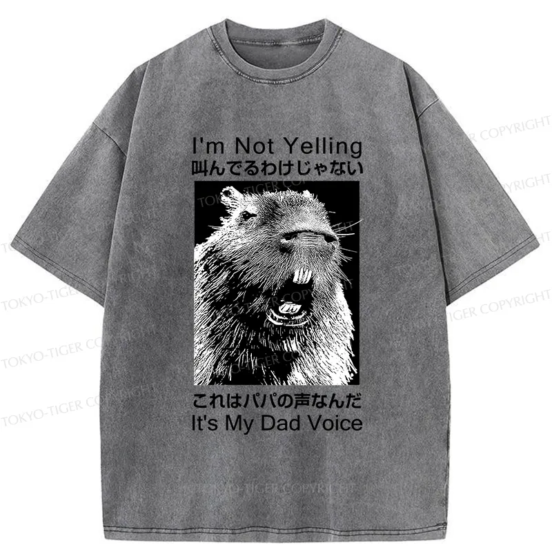 Tokyo-Tiger Funny Dad Voice Washed T-Shirt