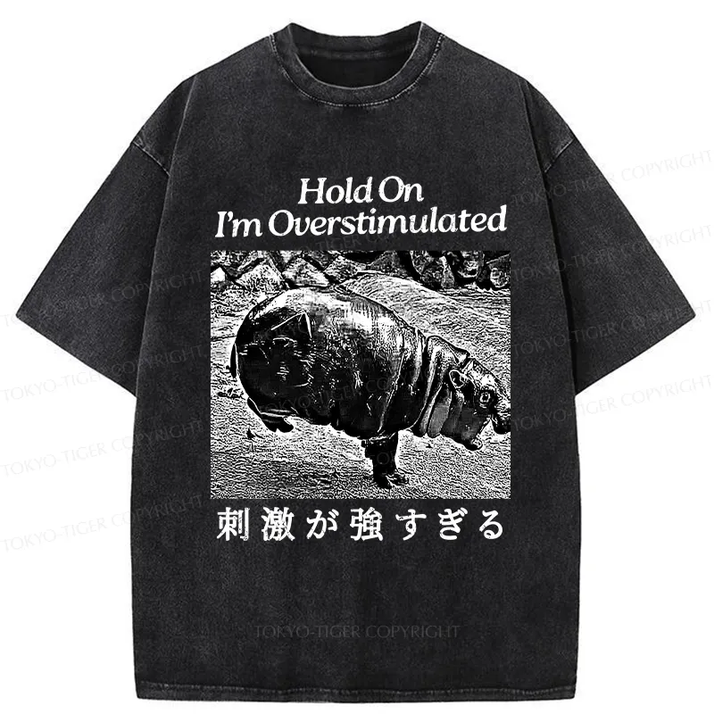 Tokyo-Tiger Overstimulated Moo Deng Washed T-Shirt