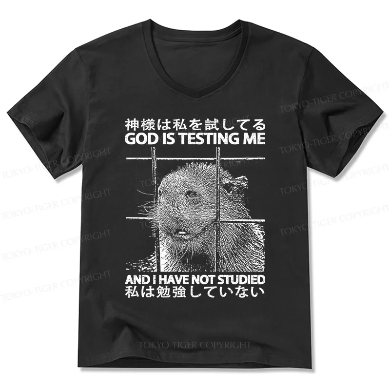 Tokyo-Tiger God Is Testing Me V-Neck Classic T-Shirt Sale