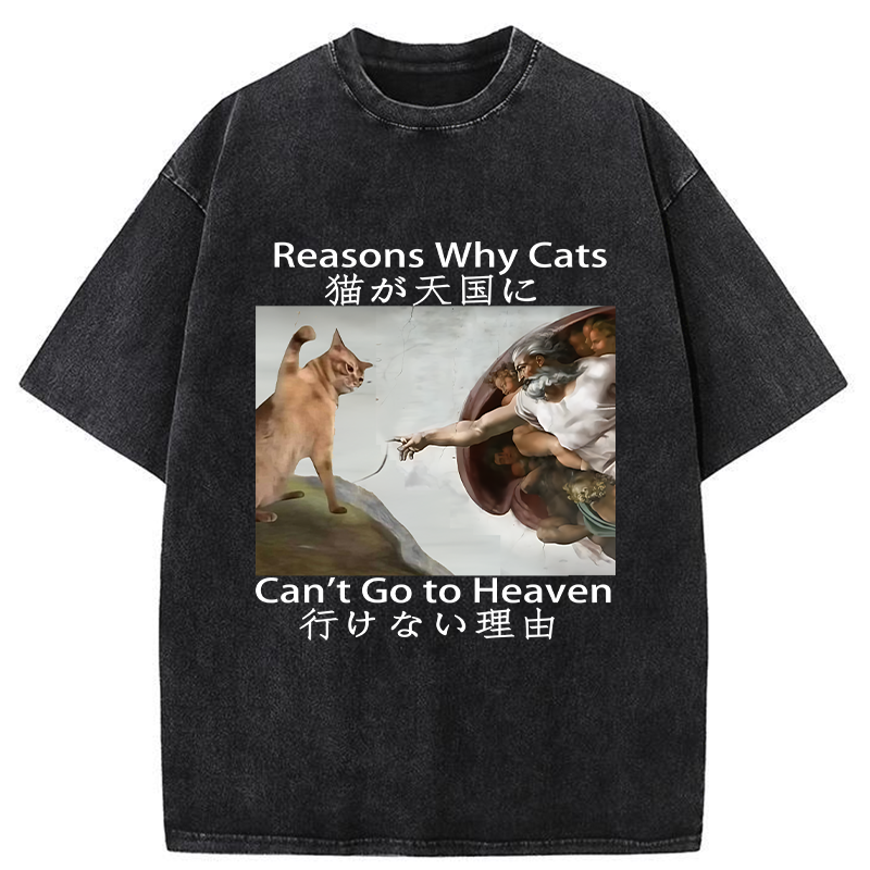 Tokyo-Tiger Naughty Cat Can't Go To Heaven Washed T-Shirt
