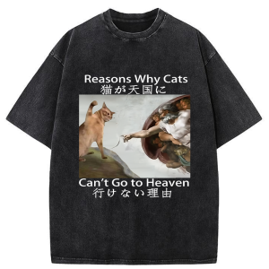 Image of Tokyo-Tiger Naughty Cat Can't Go To Heaven Washed T-Shirt