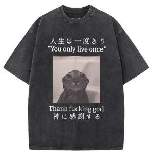 Image of Tokyo-Tiger Funny Melancholy Cat Washed T-Shirt