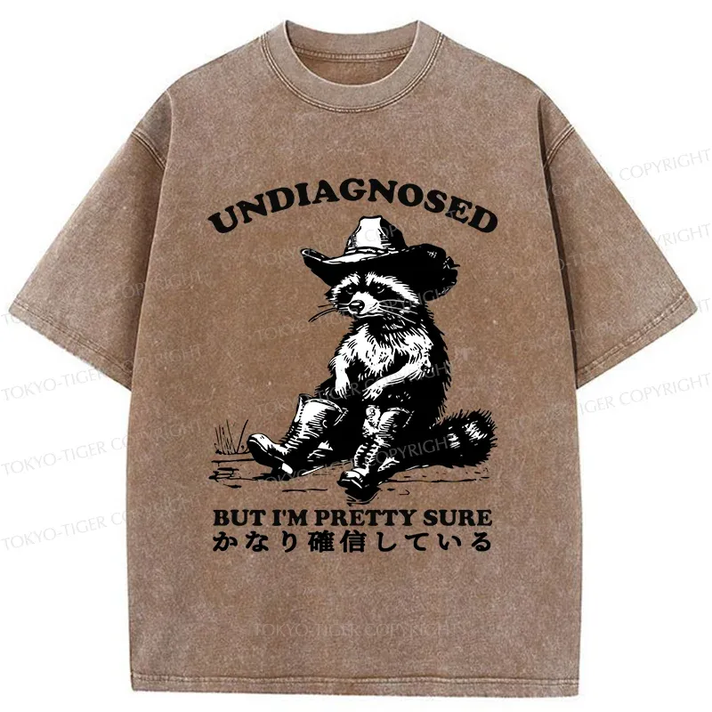 Tokyo-Tiger Confirmed Raccoon Washed T-Shirt
