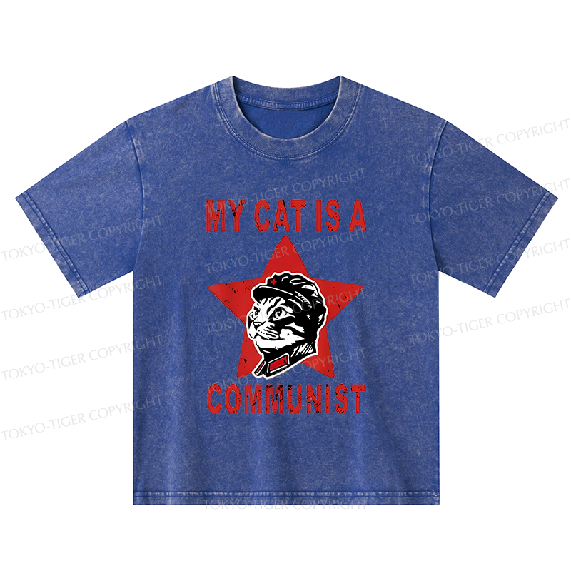 Tokyo-Tiger Funny Cat-ism Kids Washed T-Shirt