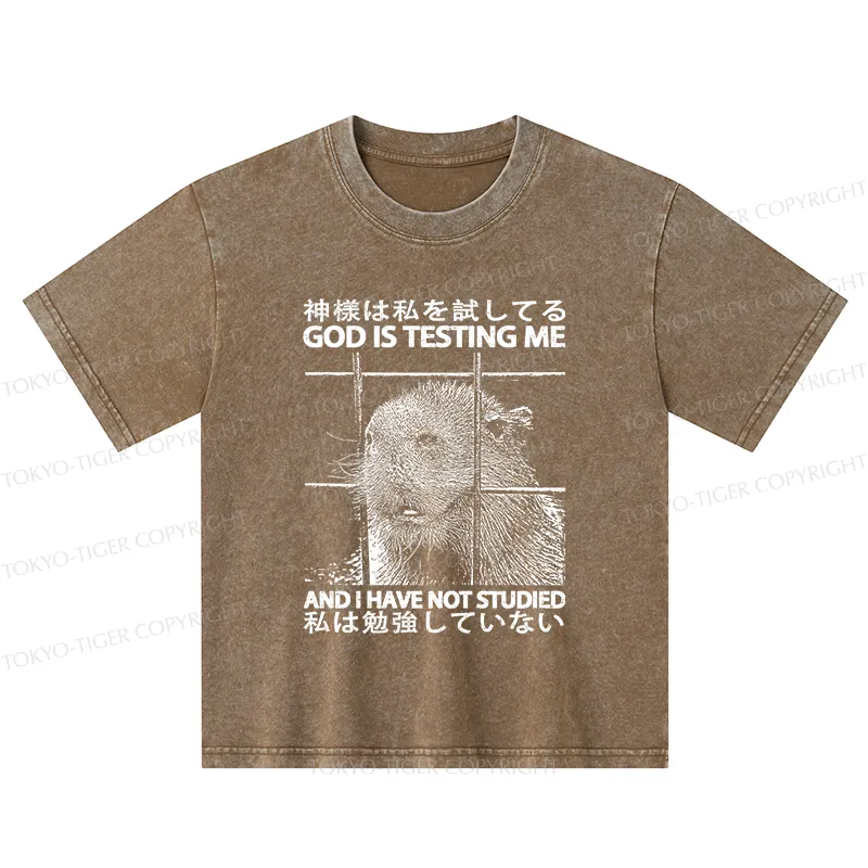 Tokyo-Tiger God Is Testing Me Kids Washed T-Shirt