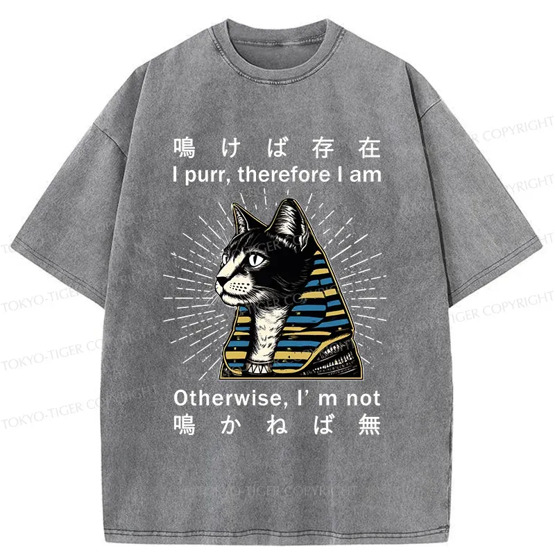 Tokyo-Tiger Cat Pharaoh Washed T-Shirt