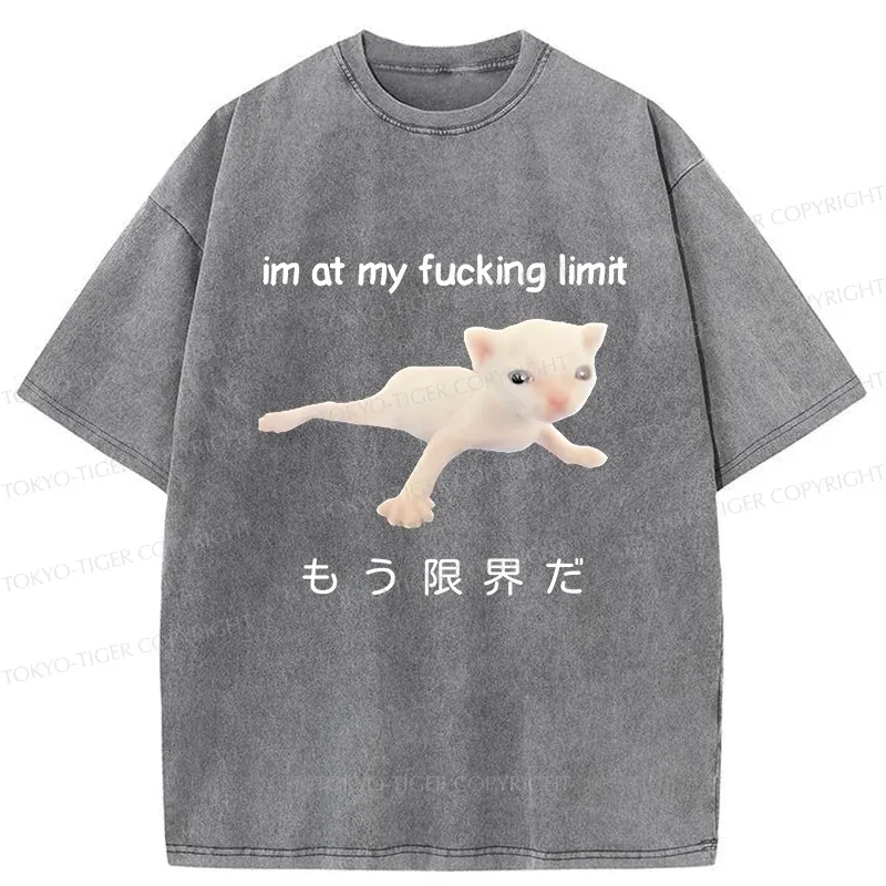 Tokyo-Tiger Cat Reaching Its Limit Washed T-Shirt