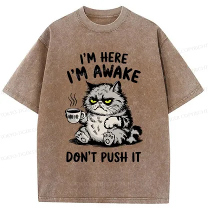 Tokyo-Tiger Tired Cat Washed T-Shirt