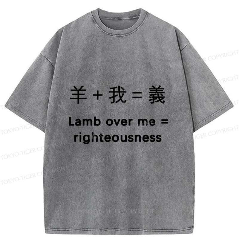 Tokyo-Tiger Constitution Of Justice Washed T-Shirt