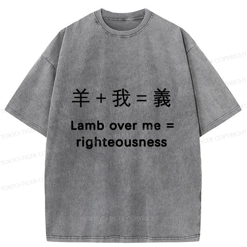 Tokyo-Tiger Constitution Of Justice Washed T-Shirt