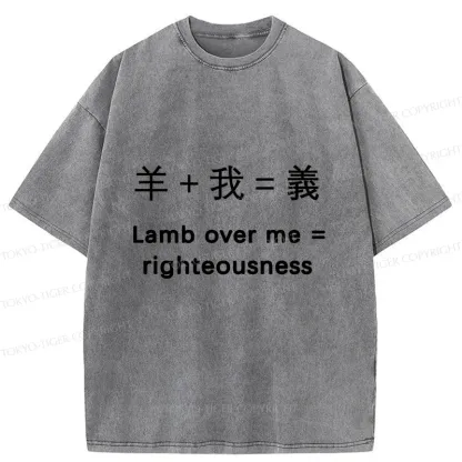 Tokyo-Tiger Constitution Of Justice Washed T-Shirt
