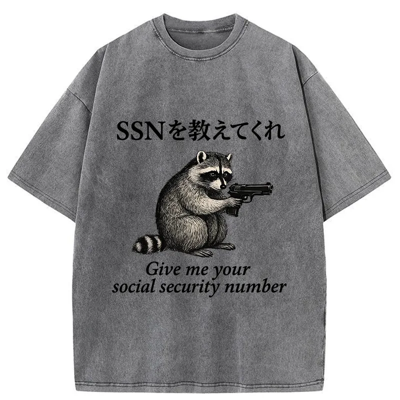 Tokyo-Tiger Raccoon Funny Meme Washed T-Shirt