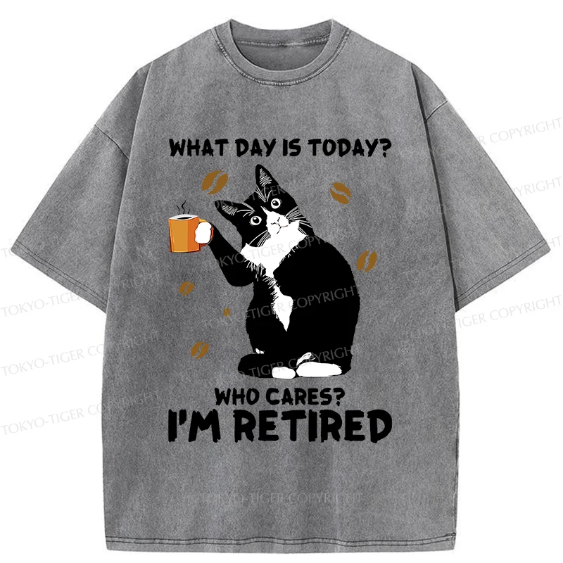 Tokyo-Tiger Retired Cat Washed T-Shirt