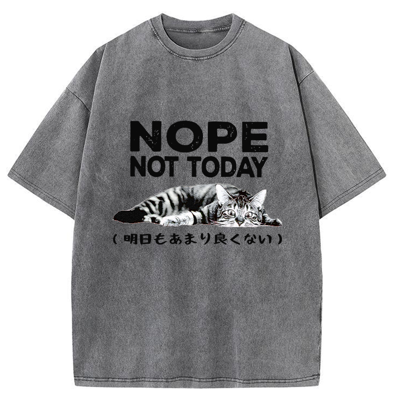 Tokyo-Tiger Every Day Won't Be So Good Washed T-Shirt