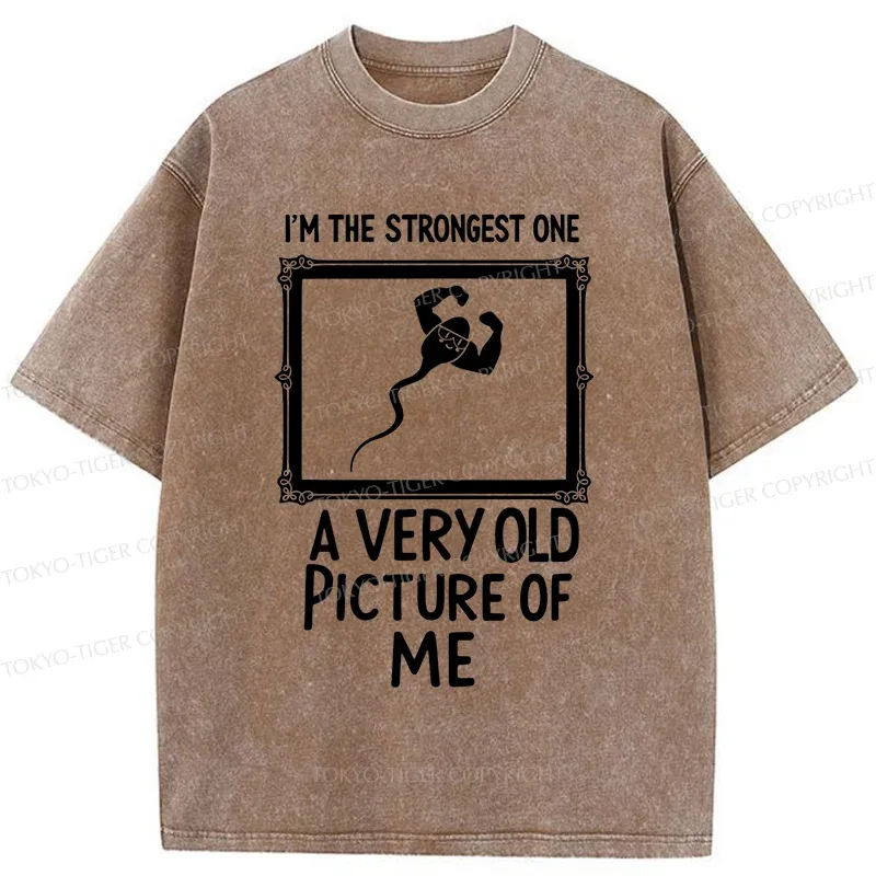 Tokyo-Tiger Old Photos Funny Washed T-Shirt