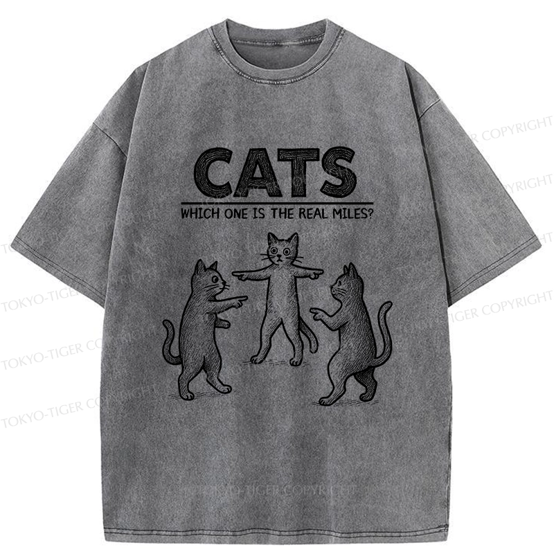 Tokyo-Tiger Which One Is The Real Miles? Washed T-Shirt