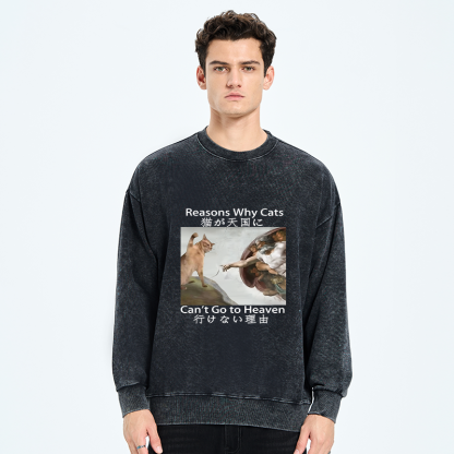 Tokyo-Tiger Naughty Cat Can't Go To Heaven Washed Sweatshirt