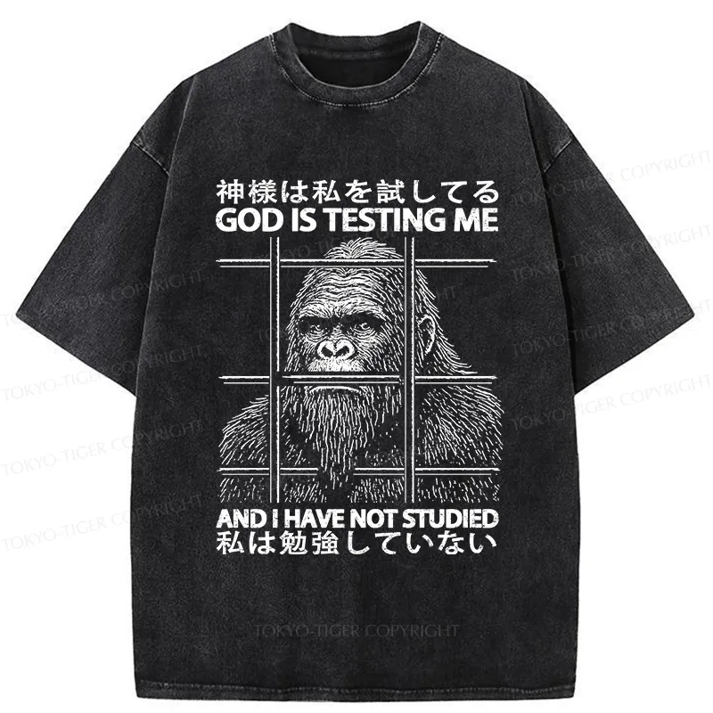 Tokyo-Tiger Funny God Is Testing Me Washed T-Shirt