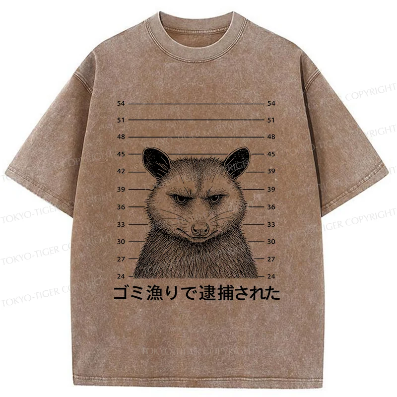 Tokyo-Tiger Captured Possum Washed T-Shirt