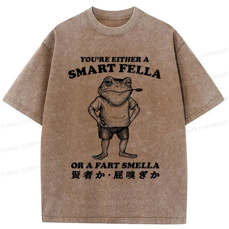 Tokyo-Tiger Farting Frog Washed T-Shirt