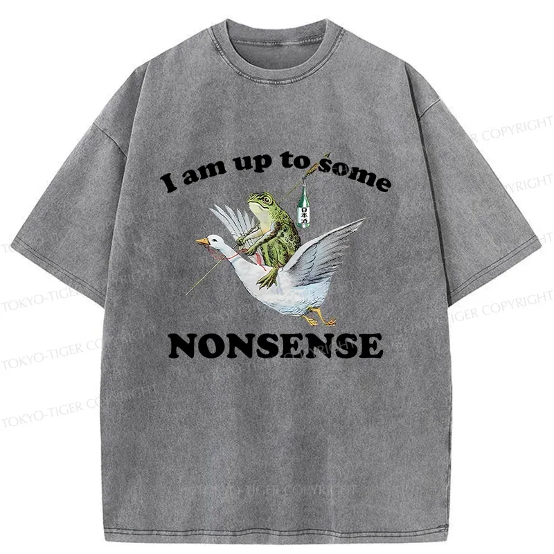 Tokyo-Tiger Frog Riding A Goose Washed T-Shirt