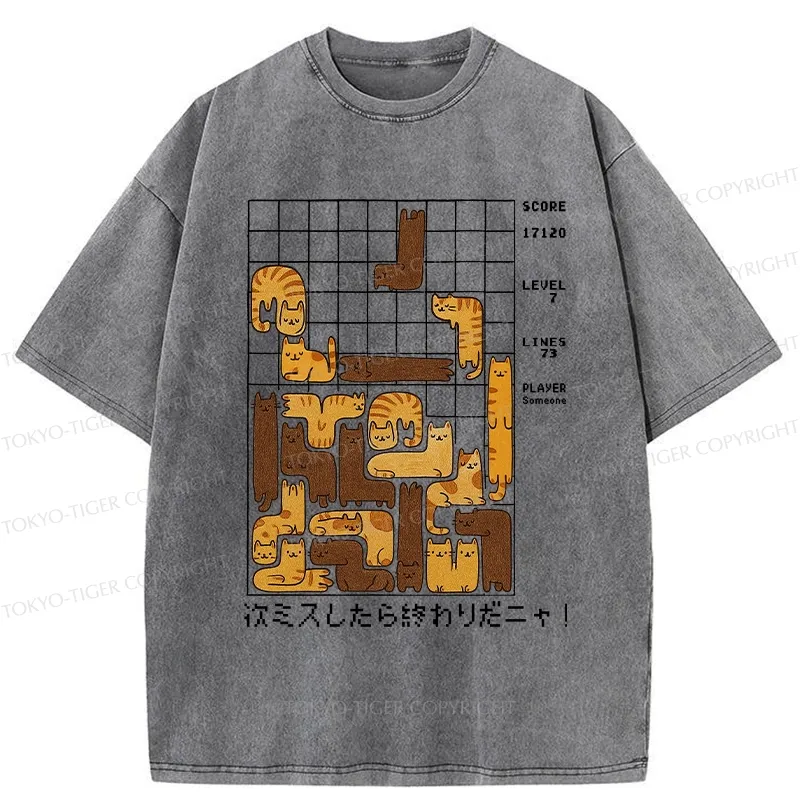 Tokyo-Tiger Funny Next Mistake Is The End Washed T-Shirt