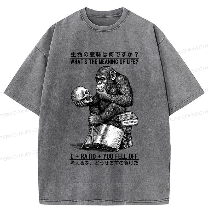 Tokyo-Tiger What's The Meaning Of Life? Washed T-Shirt