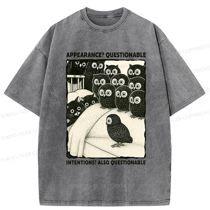 Tokyo-Tiger Appearance And Intentions Questionable Washed T-Shirt