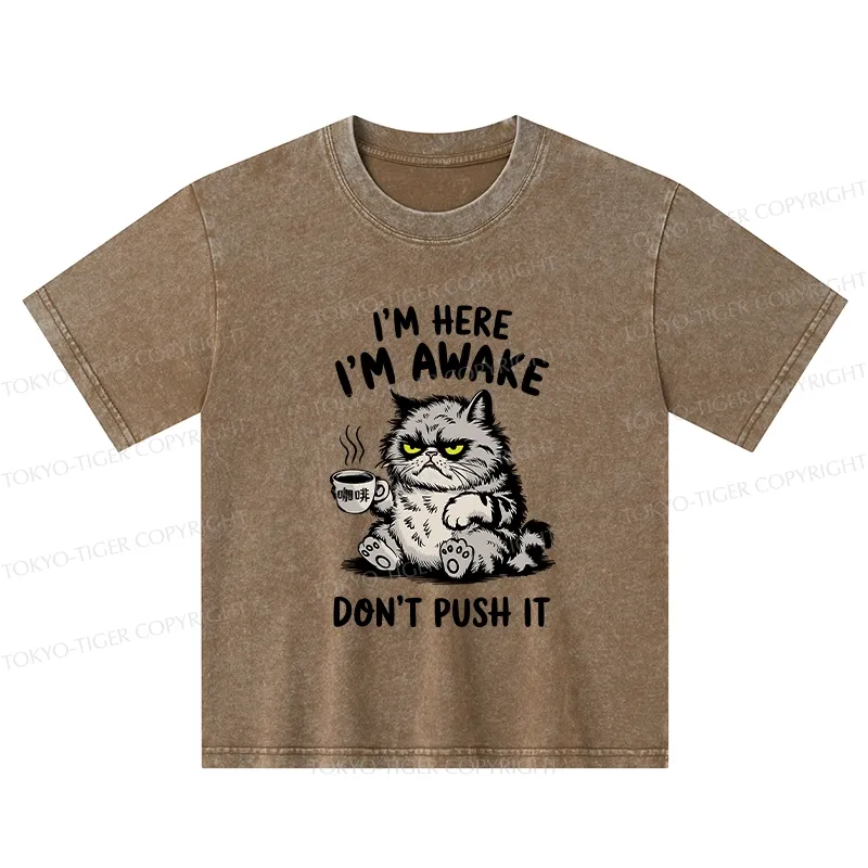 Tokyo-Tiger Tired Cat Kids Washed T-Shirt