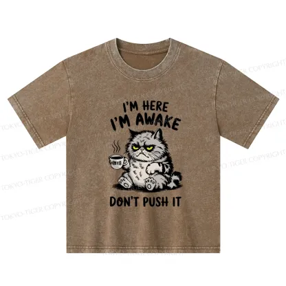 Tokyo-Tiger Tired Cat Kids Washed T-Shirt