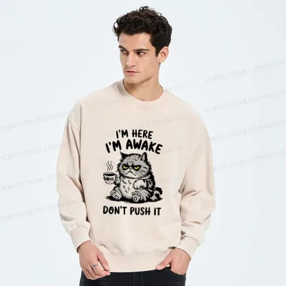 Tokyo-Tiger Tired Cat Washed Sweatshirt