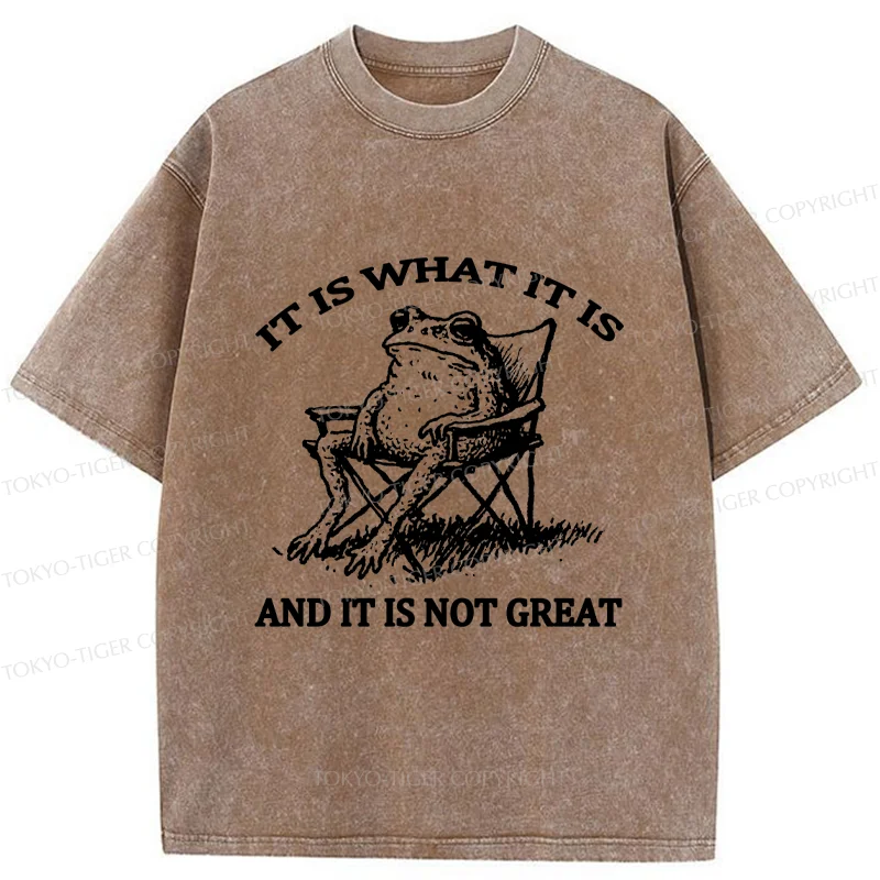 Tokyo-Tiger Resting Frog Funny Washed T-Shirt
