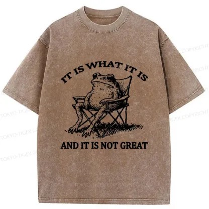 Tokyo-Tiger Resting Frog Funny Washed T-Shirt