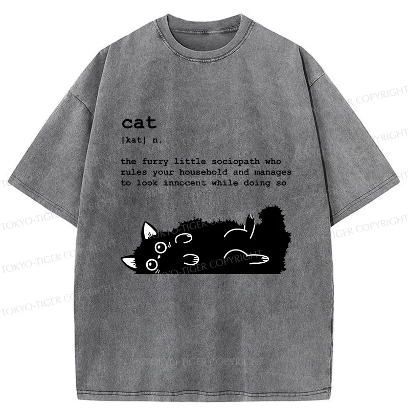 Tokyo-Tiger Definition Of Cat Funny Washed T-Shirt