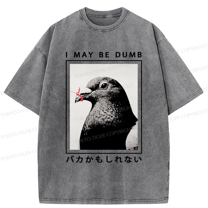 Tokyo-Tiger I May Be Dumb Funny Washed T-Shirt