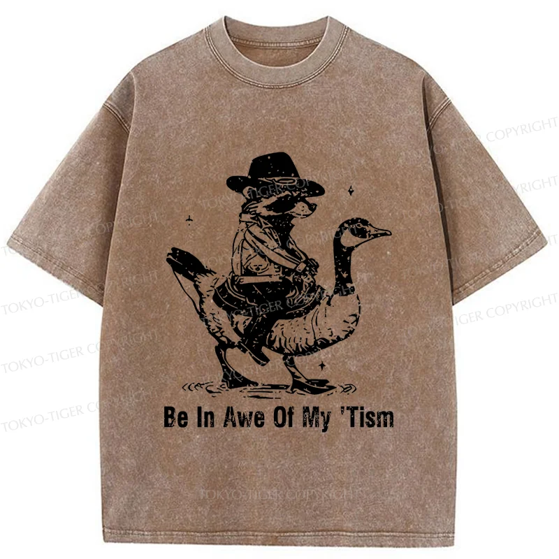 Tokyo-Tiger Raccoon Riding A Goose Washed T-Shirt