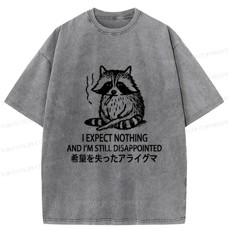 Tokyo-Tiger Lost Hope Raccoon Washed T-Shirt