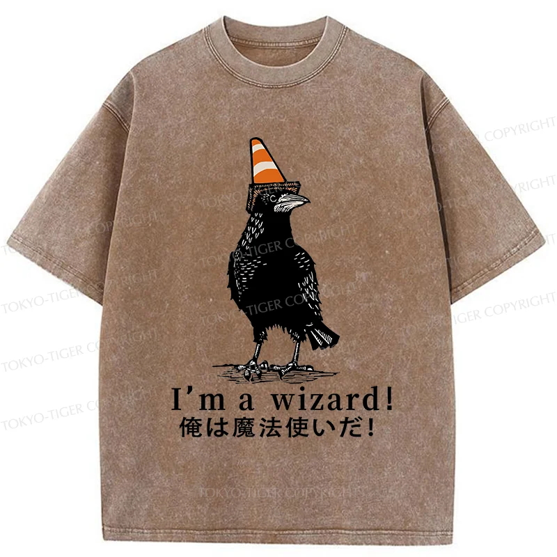 Tokyo-Tiger Magic Crow Washed T-Shirt