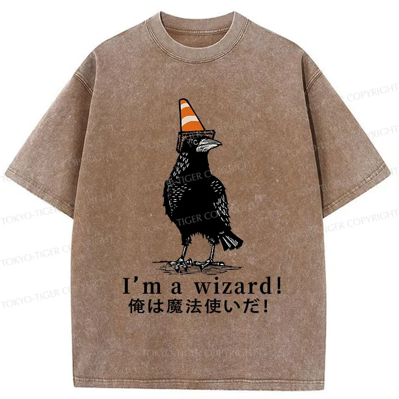 Tokyo-Tiger Magic Crow Washed T-Shirt