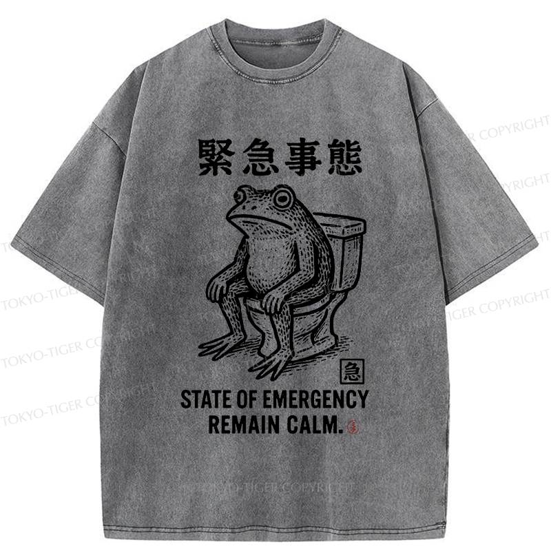 Tokyo-Tiger Funny Remain Calm Frog Washed T-Shirt